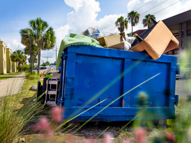 Best Junk Hauling Services  in Princeton, MN